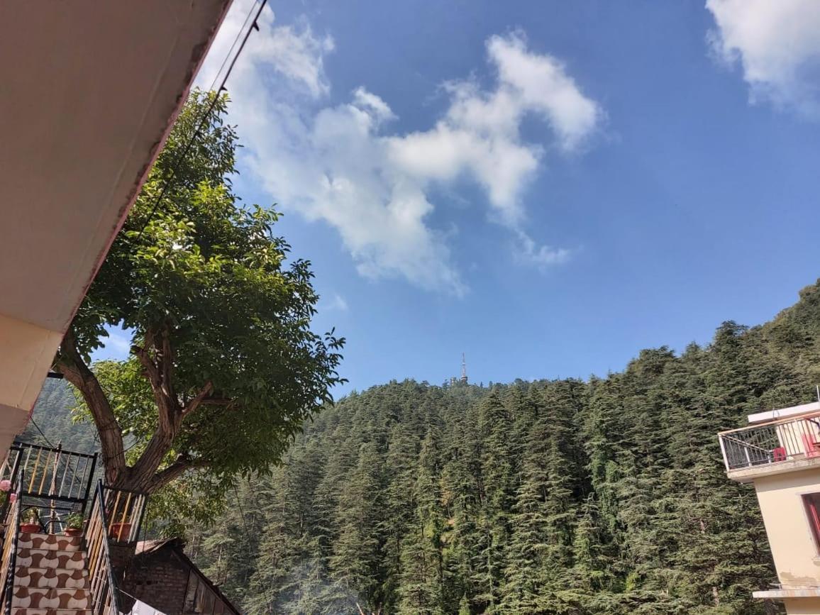 Shimla Pines Homestay 外观 照片