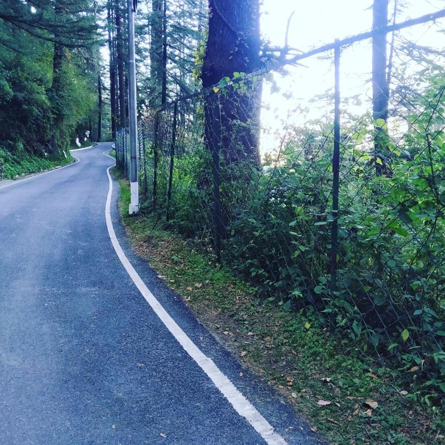 Shimla Pines Homestay 外观 照片