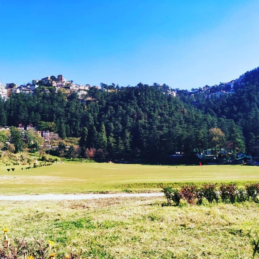 Shimla Pines Homestay 外观 照片